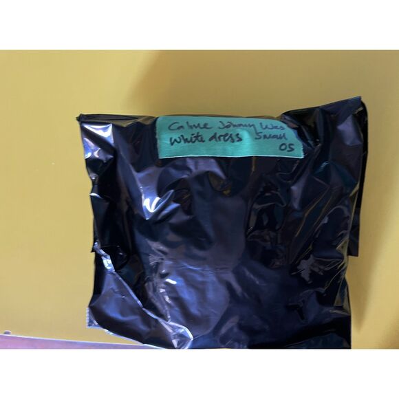 CALME Johnny Was White Long Sleeve Midi Dress  Women's Size Small - Picture 9 of 9